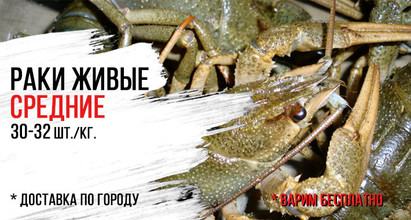 Раки живые 🦞Средние